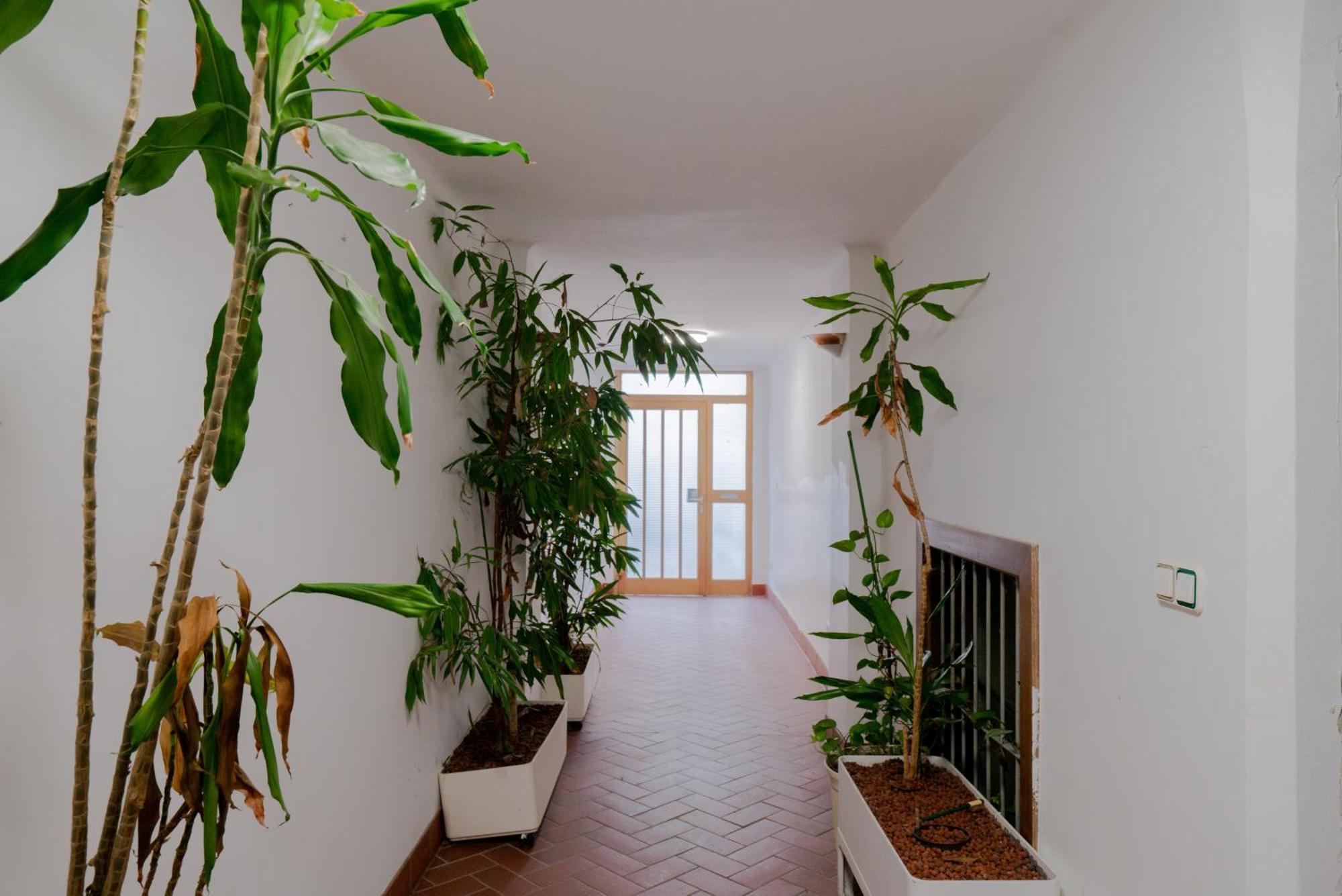 Bessemer - Charming Cottage With Garden Vienna Esterno foto